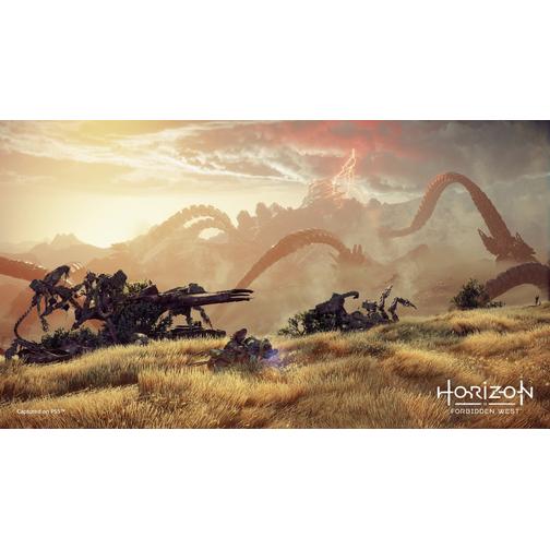 Horizon Forbidden West (PS5)