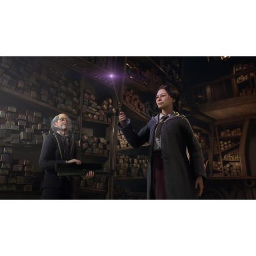 Hogwarts Legacy (PC)