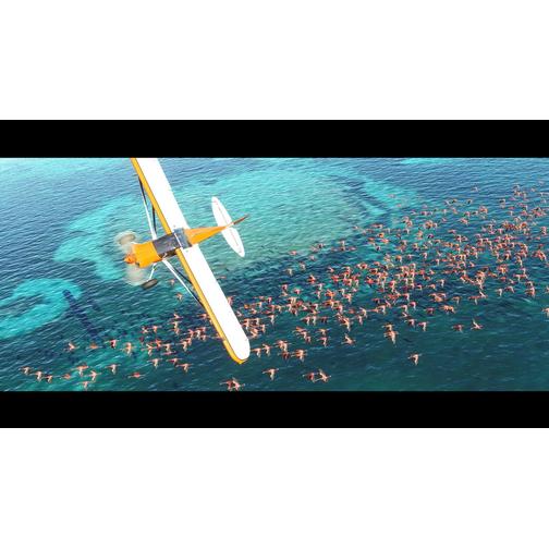 Microsoft Flight Simulator (PC)