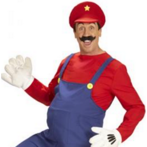 Widmann Super Mario Kostume