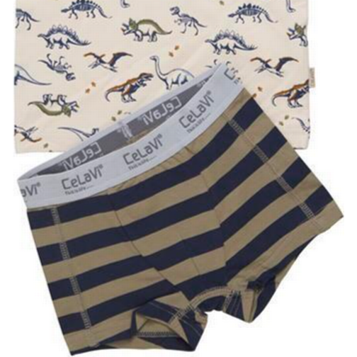 CeLaVi Underwear Kit - Covert Garden (5917-971)