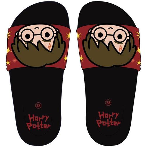 Cerda Harry Potter Pool - Black