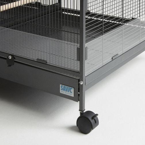 Savic Tasmania 120