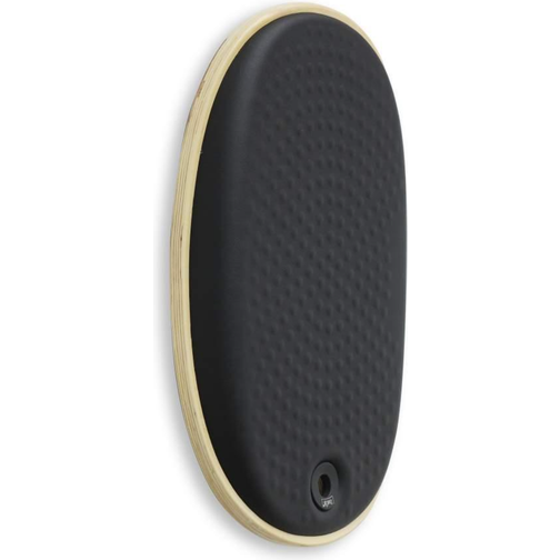 StandUp Active Balance Board