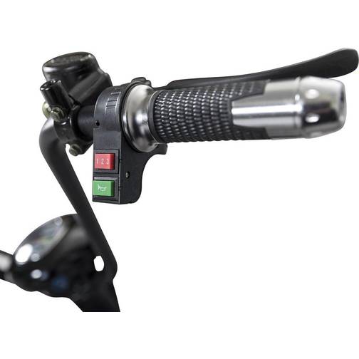 Gardeney Fatbike 1000W
