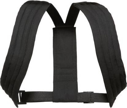 Swedish Posture Classic