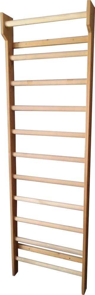 Kettler Exercise Rib