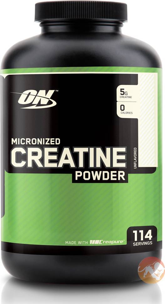 Optimum Nutrition Creatine Powder 634g