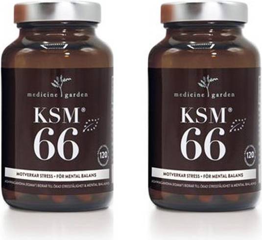 Medicine Garden KSM-66 240 st