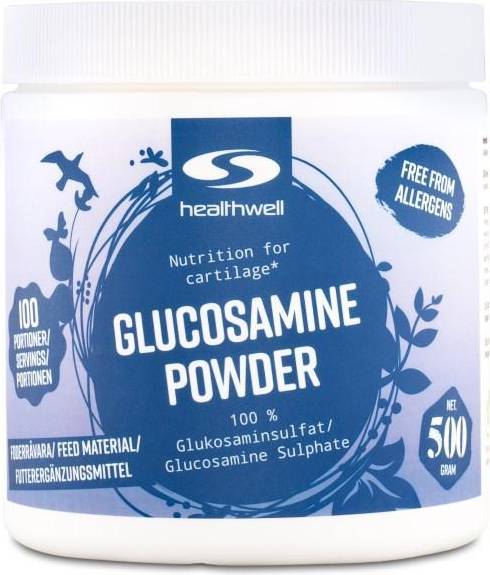 Healthwell Glucosamine Powder 500g