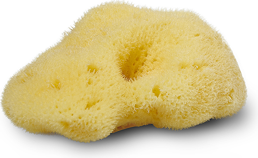 Cocoon Organic Laundry Silkesvamp 10-11cm