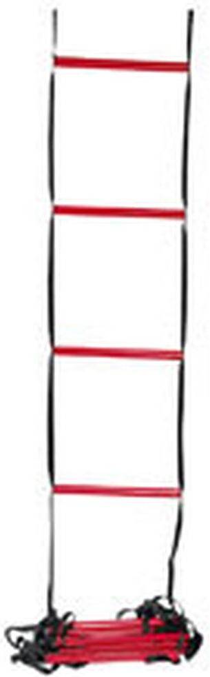 Wilson Agility Ladder