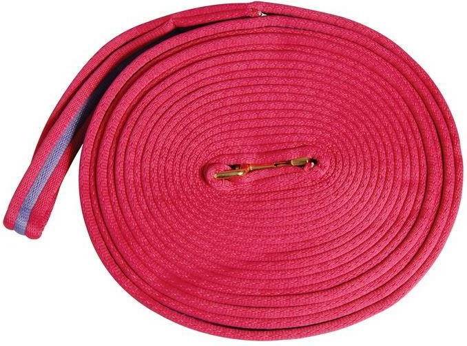 Kincade Two Tone Padded Lunging Rein
