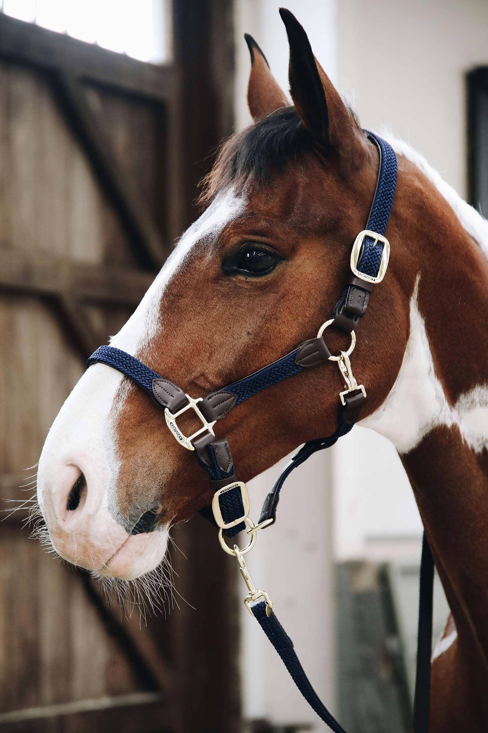 Kentucky Plaited Nylon Halter
