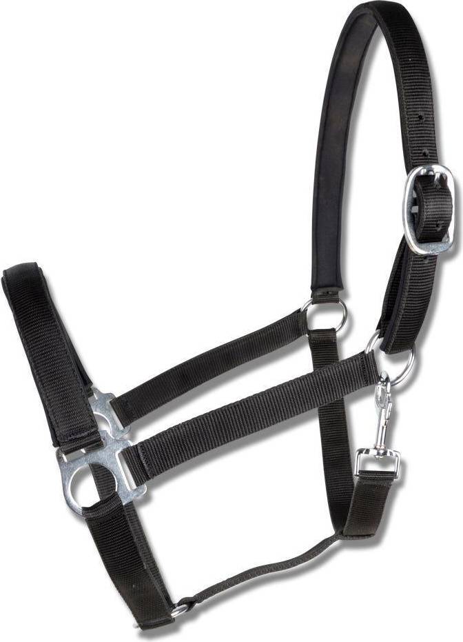 Hansbo Sport Grimma Polypropylene Med Neoprenefodring