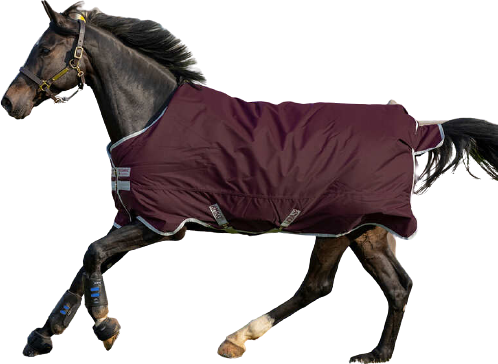 Horseware Amigo Hero Ripstop Turnout Blanket 50g