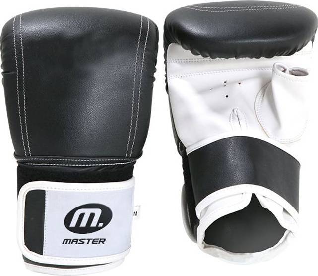 Master Boxing Gloves XL