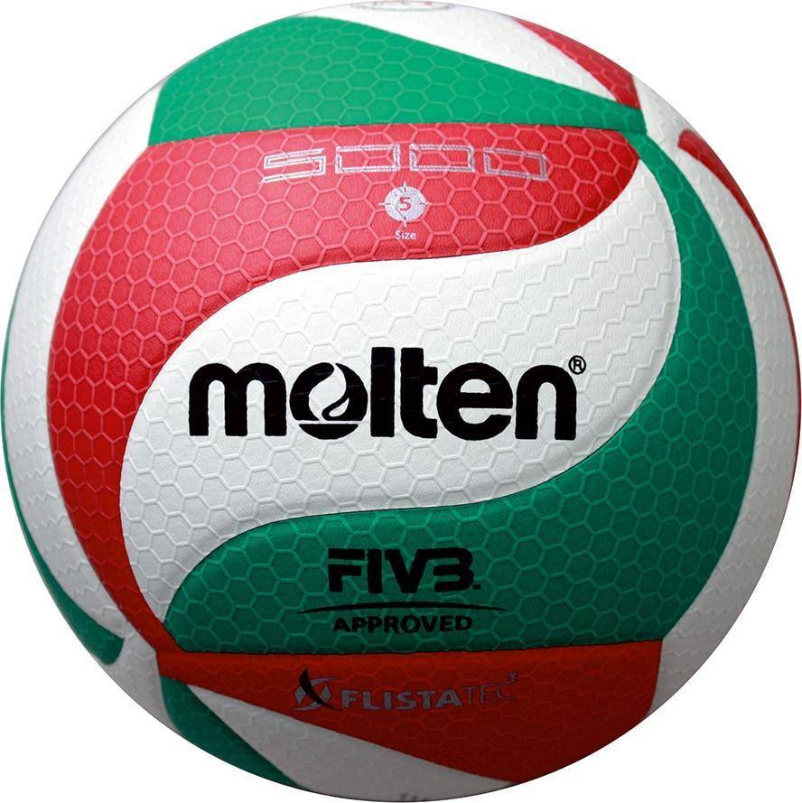 Molten Volleyball