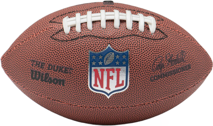 Wilson NFL Duke Mini Replica