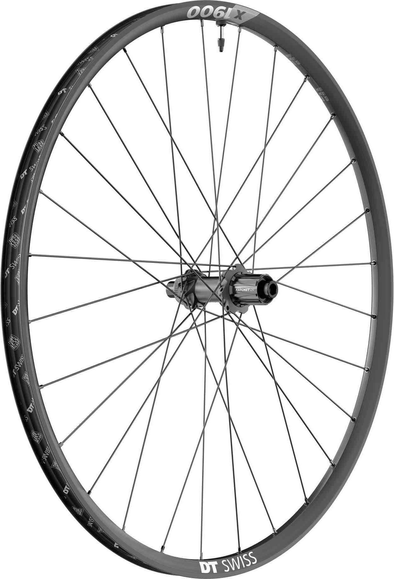 DT Swiss SPLINE HG 29