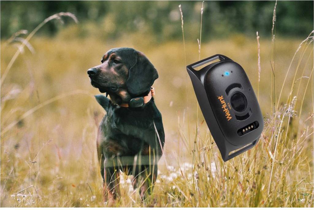 WeHunt GPS Tracker II