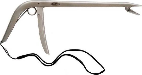 Berkley kroklossartång