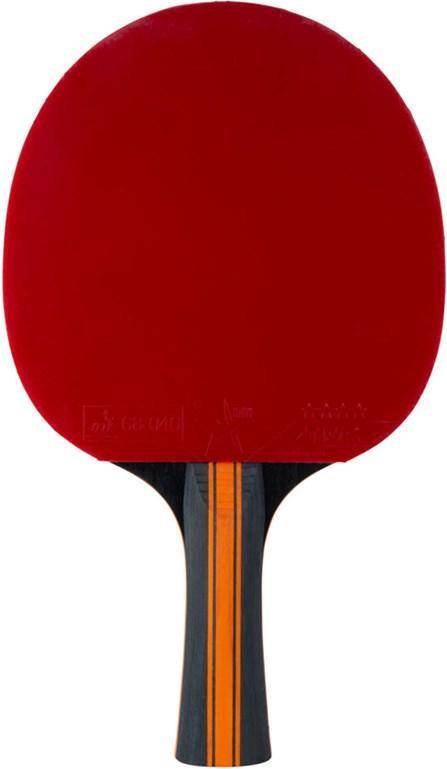 STIGA Sports Vision 4 Carbon