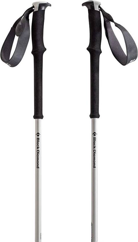 Black Diamond Expedition 2 Ski Poles 2014 - Ginger