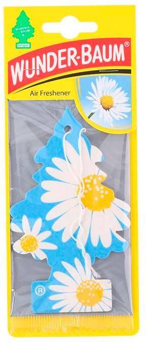 Wunder-Baum Daisy Flower