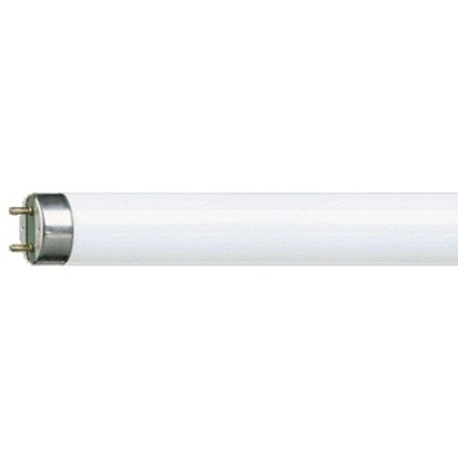 Philips Master TL-D Super 80 Fluorescent Lamp 18W G13