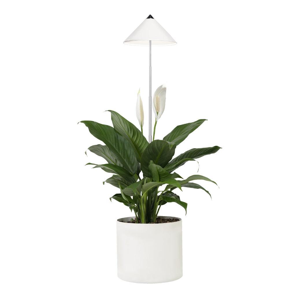 VENSO EcoSolutions Sunlite