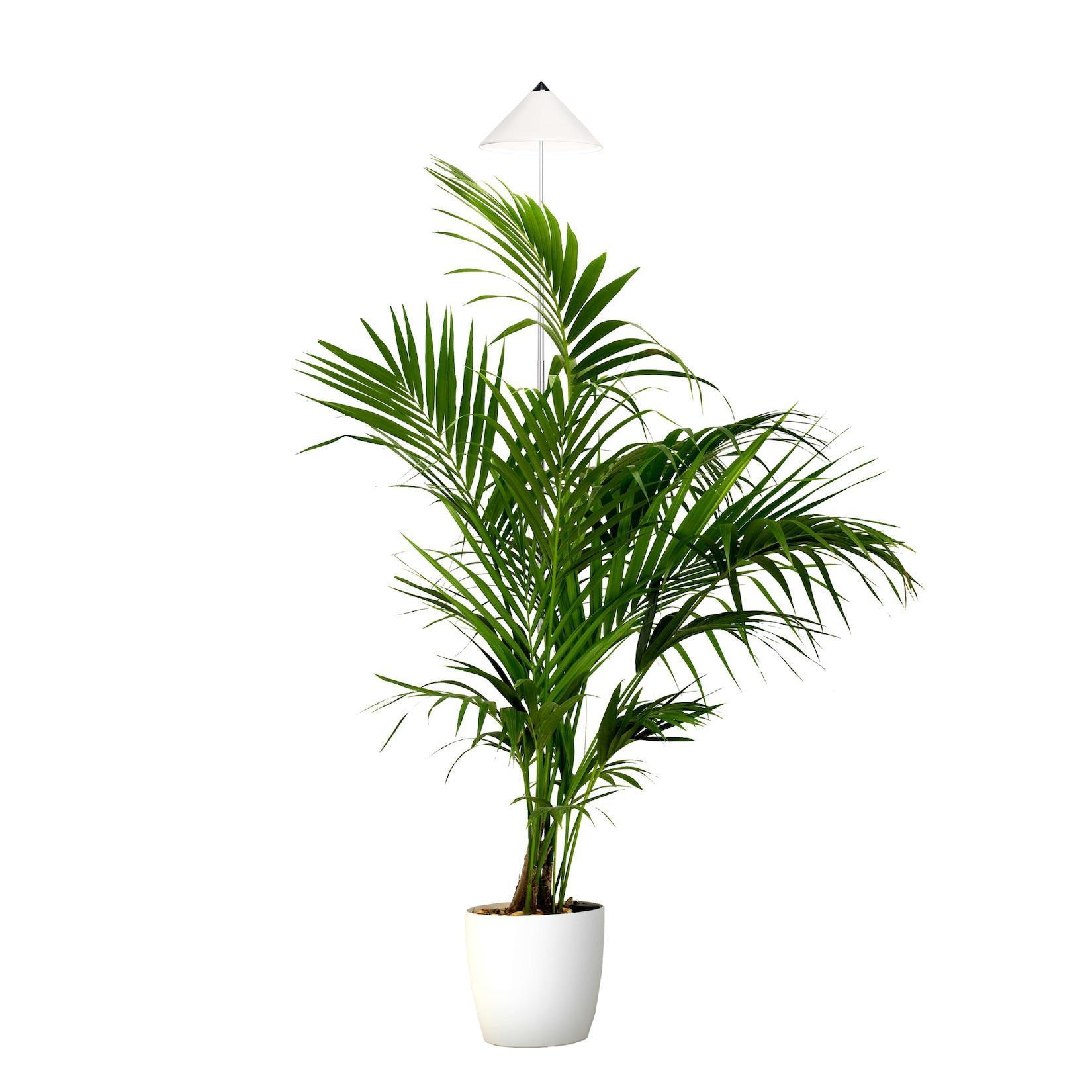 VENSO EcoSolutions Växtlampa Sunlite XL 25W, vit