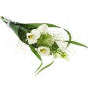 Blommor till begravning & kondoleanser Hand Bucket with White Pruning Watch Lång bukett
