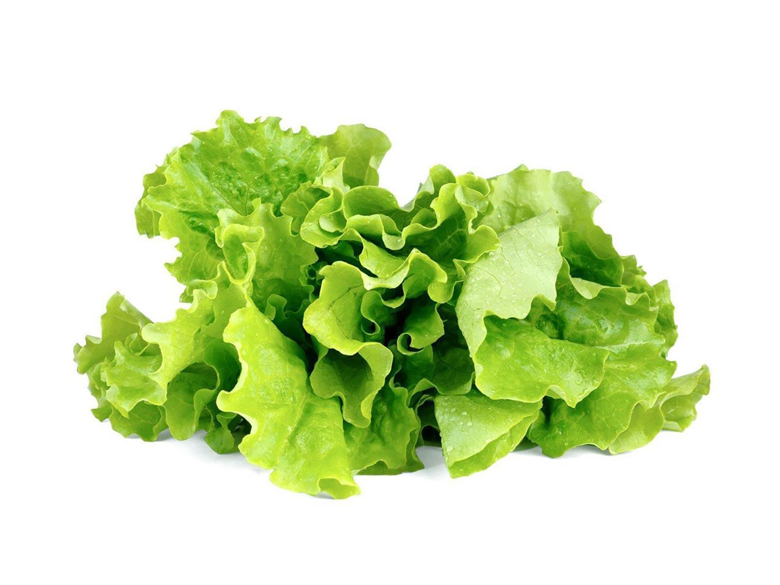 Click and Grow & Smart Garden Refill 3-pack Bladsallad