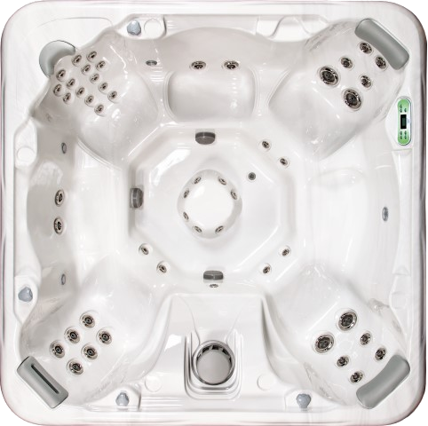 Artesian Spas Swimspa South Seas 850B Deluxe