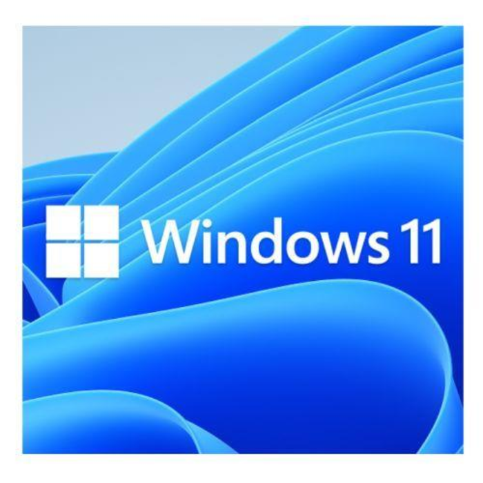 Microsoft Windows 11 Pro Eng (64-bit OEM)