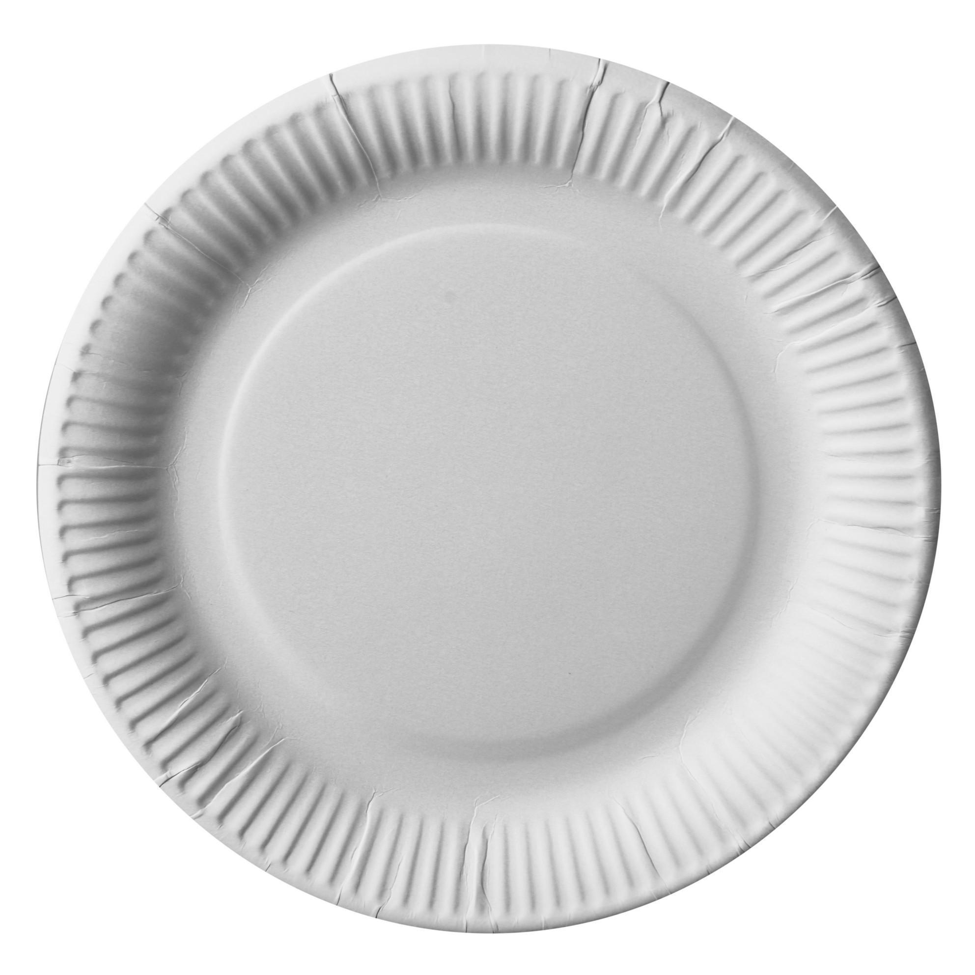 Papstar Disposable Plates Pure 100-pack