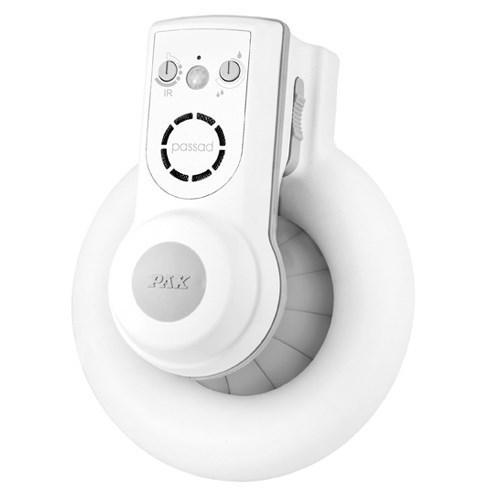 Pax Passad 31 (1860-1)