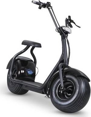 Gardeney Fatbike 1000W