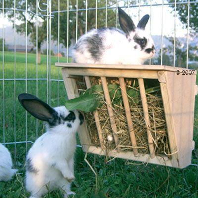 Kerbl Hay Rack with Seating