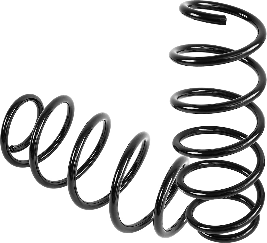 Triscan 8750 24126 Coil Spring