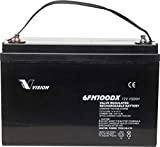 Vision Akkus 1009614 FM-serien 6FM100DX solcellsbatteri 12 V 100 Ah bly-fleece AGM B x H x D 330 x 215 x 171 mm M8