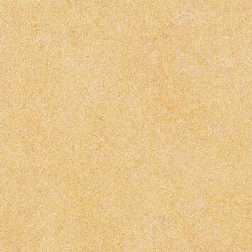 Forbo Linoleumgolv Marmoleum Fresco 2mm 3846 Natural Corn 33mx200cm