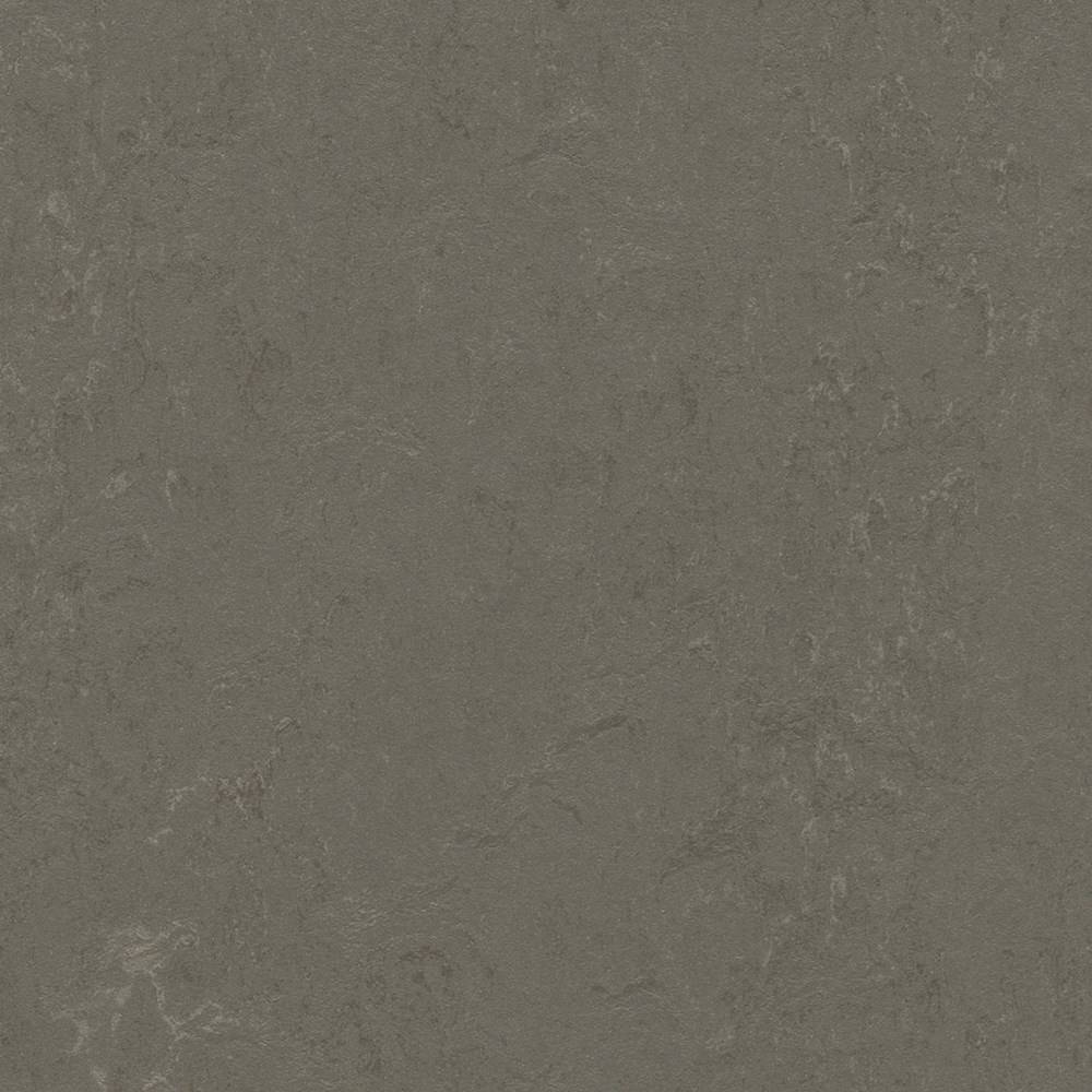 Forbo Marmoleum Click 333723