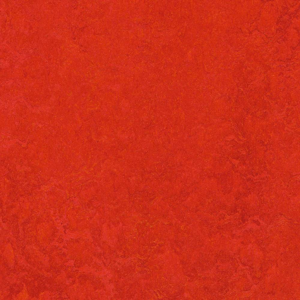 Forbo Marmoleum Click 333131