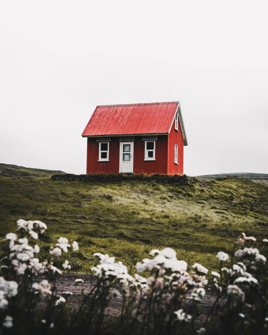 home-search-box.webp